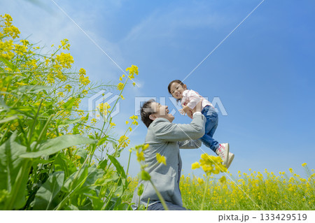 菜の花の咲く遊歩道で娘を掲げる父親 133429519