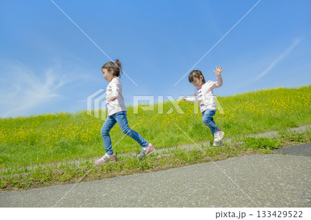 菜の花の咲く遊歩道で遊ぶ姉と妹 133429522