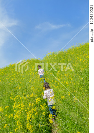菜の花の咲く土手で遊ぶ姉と妹 菜の花の咲く土手で遊ぶ姉と妹 133429525