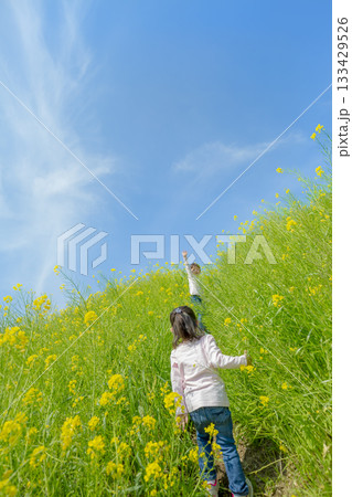 菜の花の咲く土手で遊ぶ姉と妹 133429526
