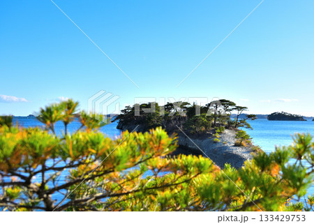松の木のある自然が作った風景 133429753
