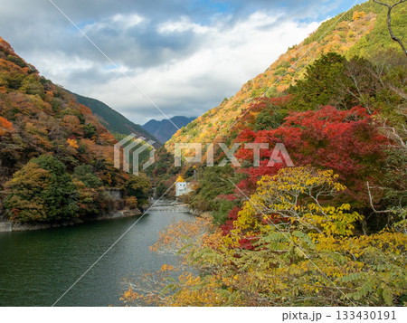 丹沢湖の紅葉 丹沢湖の紅葉 133430191