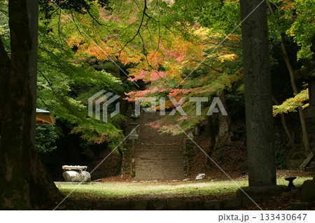 鳥取 四季の散歩 秋 智頭 諏訪神社 鳥取 四季の散歩 秋 智頭 諏訪神社 133430647