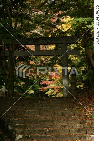 鳥取　四季の散歩　秋　智頭　諏訪神社 133430685