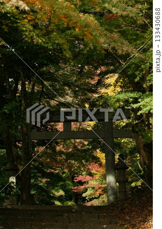 鳥取 四季の散歩 秋 智頭 諏訪神社 鳥取 四季の散歩 秋 智頭 諏訪神社 133430688