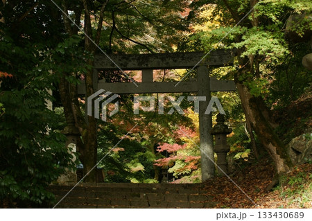 鳥取 四季の散歩 秋 智頭 諏訪神社 鳥取 四季の散歩 秋 智頭 諏訪神社 133430689