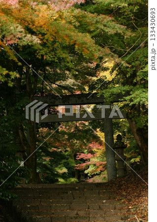 鳥取　四季の散歩　秋　智頭　諏訪神社 133430693