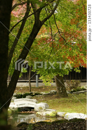 鳥取　四季の散歩　秋　智頭　諏訪神社 133430728
