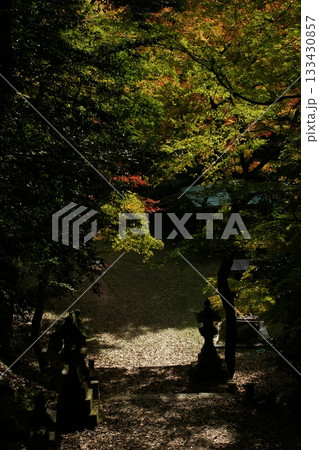 鳥取　四季の散歩　秋　智頭　諏訪神社 133430857