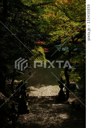 鳥取 四季の散歩 秋 智頭 諏訪神社 鳥取 四季の散歩 秋 智頭 諏訪神社 133430859