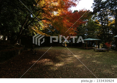 鳥取 四季の散歩 秋 智頭 諏訪神社 鳥取 四季の散歩 秋 智頭 諏訪神社 133430924