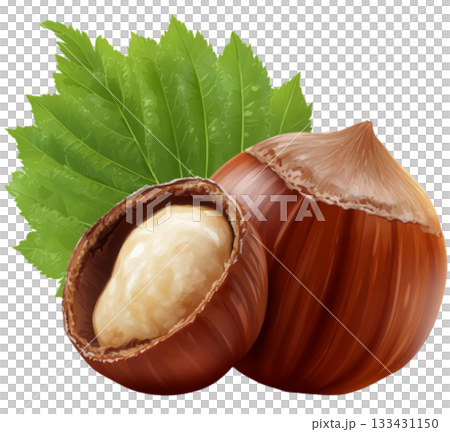 hazelnut hazelnut 133431150