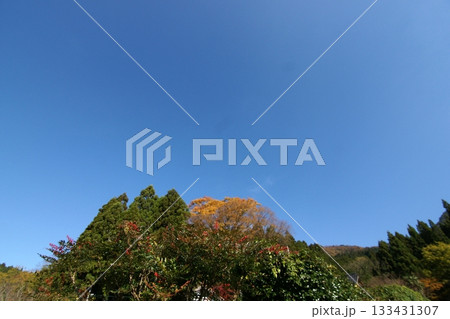 鳥取 四季の散歩 秋 智頭 諏訪神社 鳥取 四季の散歩 秋 智頭 諏訪神社 133431307