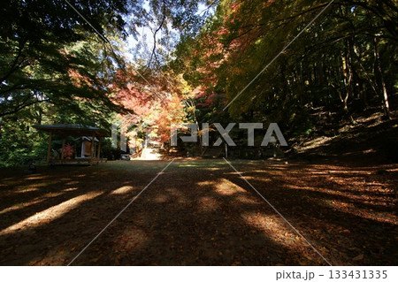 鳥取 四季の散歩 秋 智頭 諏訪神社 鳥取 四季の散歩 秋 智頭 諏訪神社 133431335