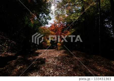 鳥取 四季の散歩 秋 智頭 諏訪神社 鳥取 四季の散歩 秋 智頭 諏訪神社 133431363