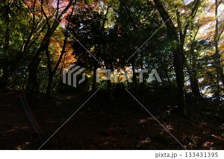 鳥取 四季の散歩 秋 智頭 諏訪神社 鳥取 四季の散歩 秋 智頭 諏訪神社 133431395