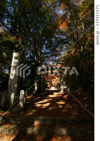 鳥取 四季の散歩 秋 智頭 諏訪神社 鳥取 四季の散歩 秋 智頭 諏訪神社 133431571