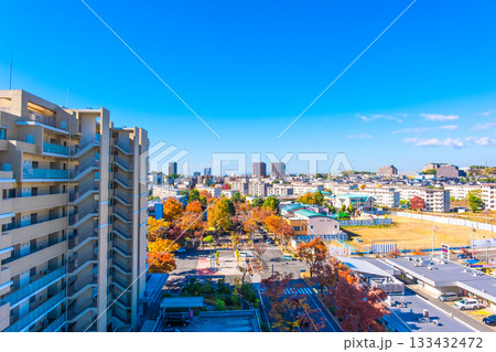 枚方市の街並みと欅の紅葉 枚方市の街並みと欅の紅葉 133432472