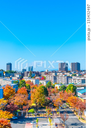 枚方市の街並みと欅の紅葉 枚方市の街並みと欅の紅葉 133432497
