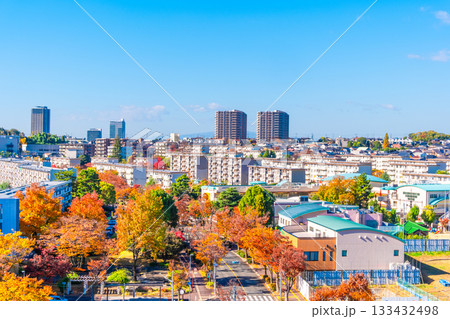 枚方市の街並みと欅の紅葉 枚方市の街並みと欅の紅葉 133432498