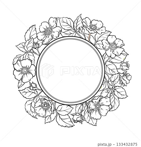 Wild Rose Outline Round Frame. 133432875