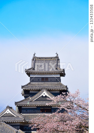 春　桜　松本城 133433508