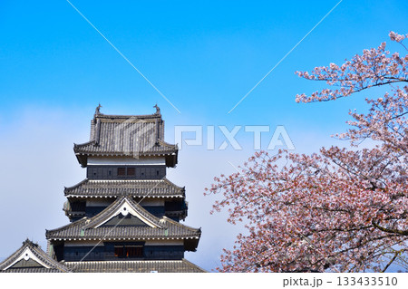 春 桜 松本城 春 桜 松本城 133433510