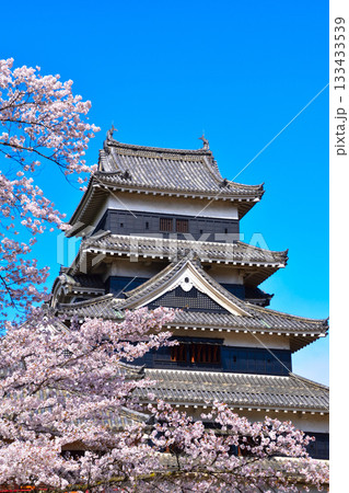 春　桜　松本城 133433539