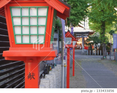 神社の赤い灯篭 神社の赤い灯篭 133433856