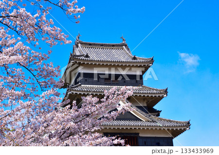 春　桜　松本城 133433969