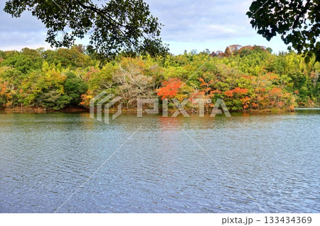 遠い一碧湖の初秋の風 133434369