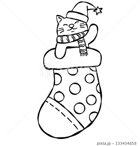 christmas Cute cat in a Christmas stocking wearing a Santa hat and scarf. christmas Cute cat in a Christmas stocking wearing a Santa hat and scarf. 133434858