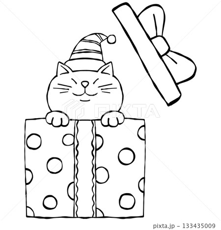 christmas A cat in a gift box wearing a Santa hat smiles happily. christmas A cat in a gift box wearing a Santa hat smiles happily. 133435009