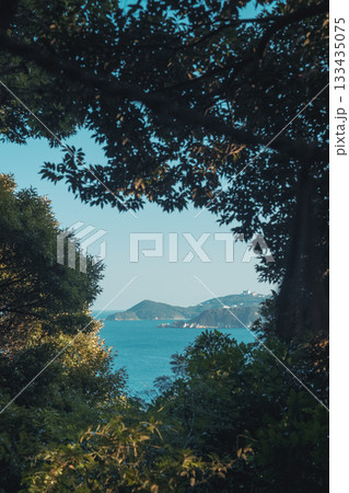 伊射波神社の奇跡の窓 133435075