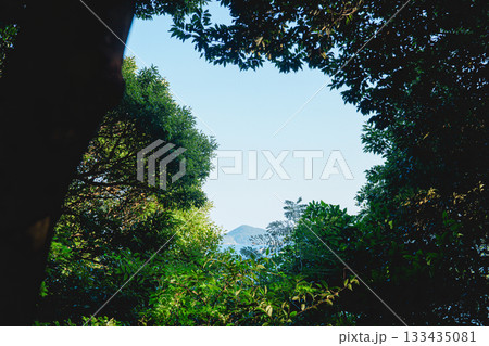 伊射波神社の奇跡の窓 133435081