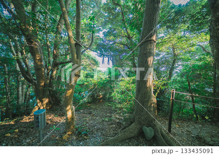 伊射波神社の奇跡の窓 伊射波神社の奇跡の窓 133435091