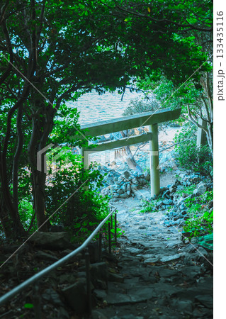 伊射波神社の奇跡の窓 133435116