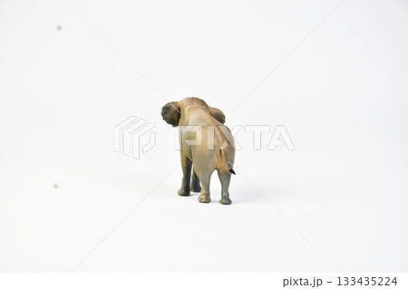 Stegodon animal on isolated background 133435224