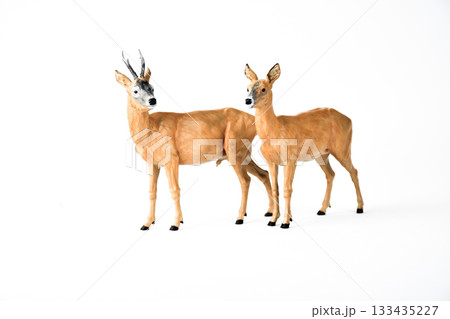 Roe Deer animal on isolated background Roe Deer animal on isolated background 133435227