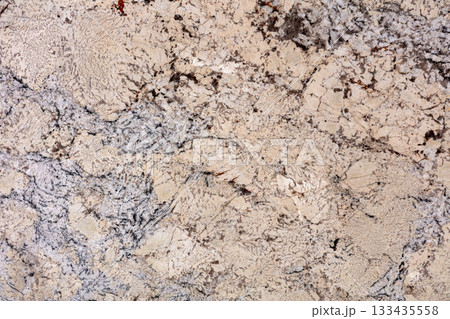 Natural White Persa - granite background, texture in beautiful color for your unique design. 133435558