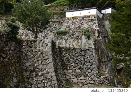 備中松山城の石垣 133435850