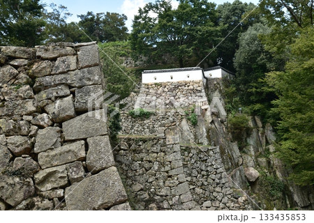 備中松山城の石垣 133435853