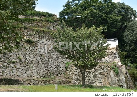 備中松山城の石垣 133435854
