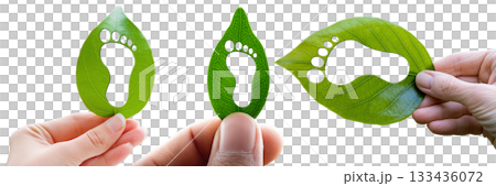 Human Hand Holding a Green Leaf with a Footprint Isolated on Transparent - Generative Ai 133436072