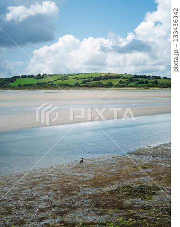 Tranquil scene of a river winding through a sandy landscape, leading to green fields beneath a sky with dramatic clouds. A single bird is visible. 133436342