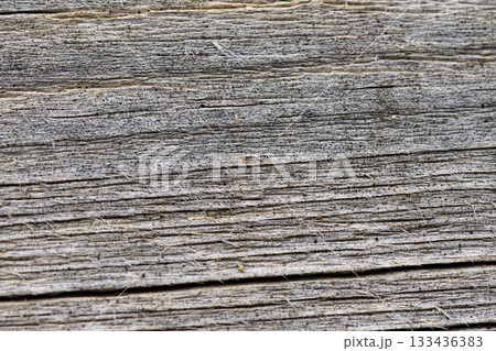 Weathered wooden texture reveals intricate patterns and stories of nature over time under soft 133436383