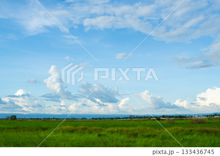 Beautiful summer landscape with blue sky, white clouds, and a green grass meadow 133436745