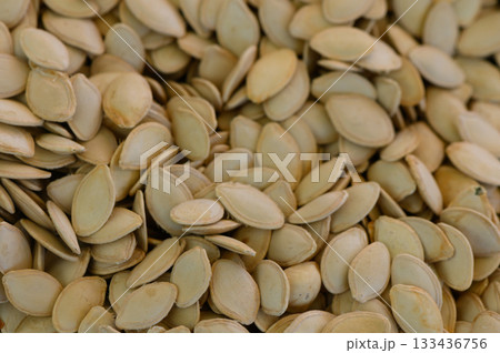 Harvesting pumpkin seeds for autumn celebrations and seasonal festivities in a cozy kitchen setting Harvesting pumpkin seeds for autumn celebrations and seasonal festivities in a cozy kitchen setting 133436756
