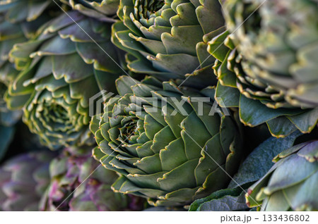 Artful arrangement of vibrant artichokes basking in soft natural light on a sunny afternoon Artful arrangement of vibrant artichokes basking in soft natural light on a sunny afternoon 133436802