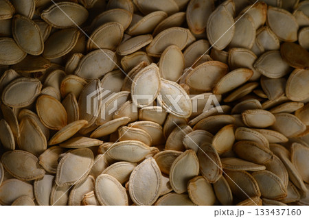 Harvested pumpkin seeds glisten in the warm autumn light, showcasing their natural textures and earthy tones as they await transformation 133437160